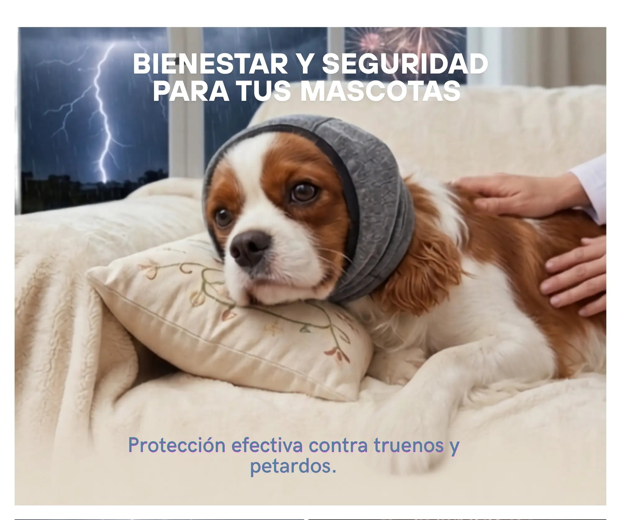 Gorro Antirruido para Perros | Protección frente al ruido Mas que mascotas