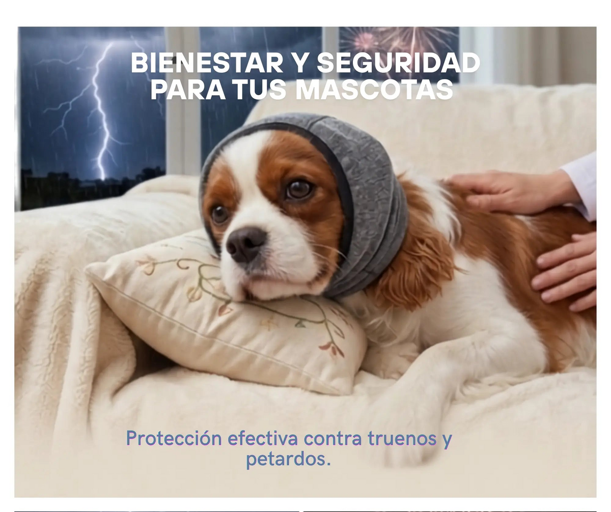 Gorro Antirruido para Perros | Protección frente al ruido Mas que mascotas
