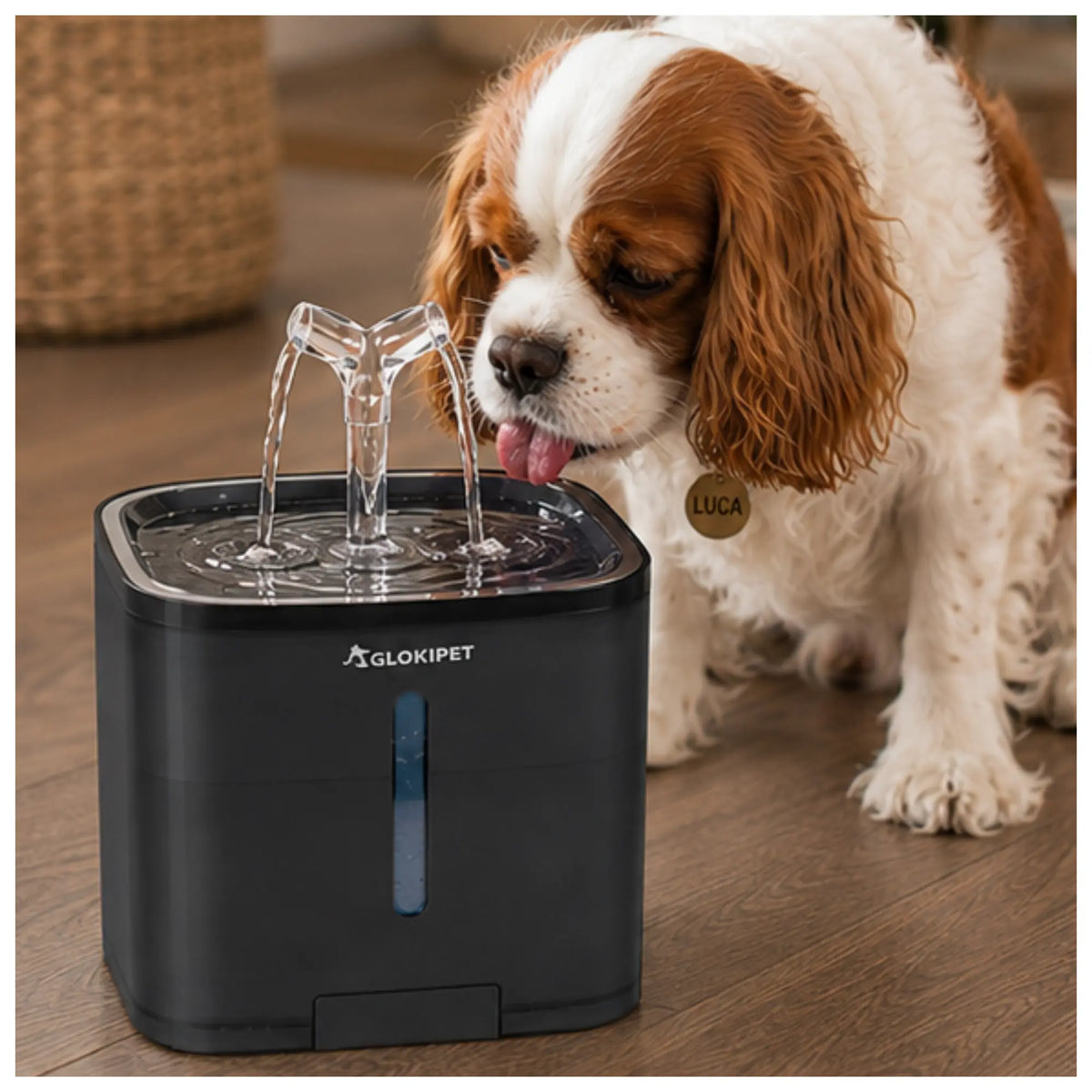 Fuente de Agua Inteligente para Mascotas 2L – Filtración Triple y Circulación Continua Mas que mascotas