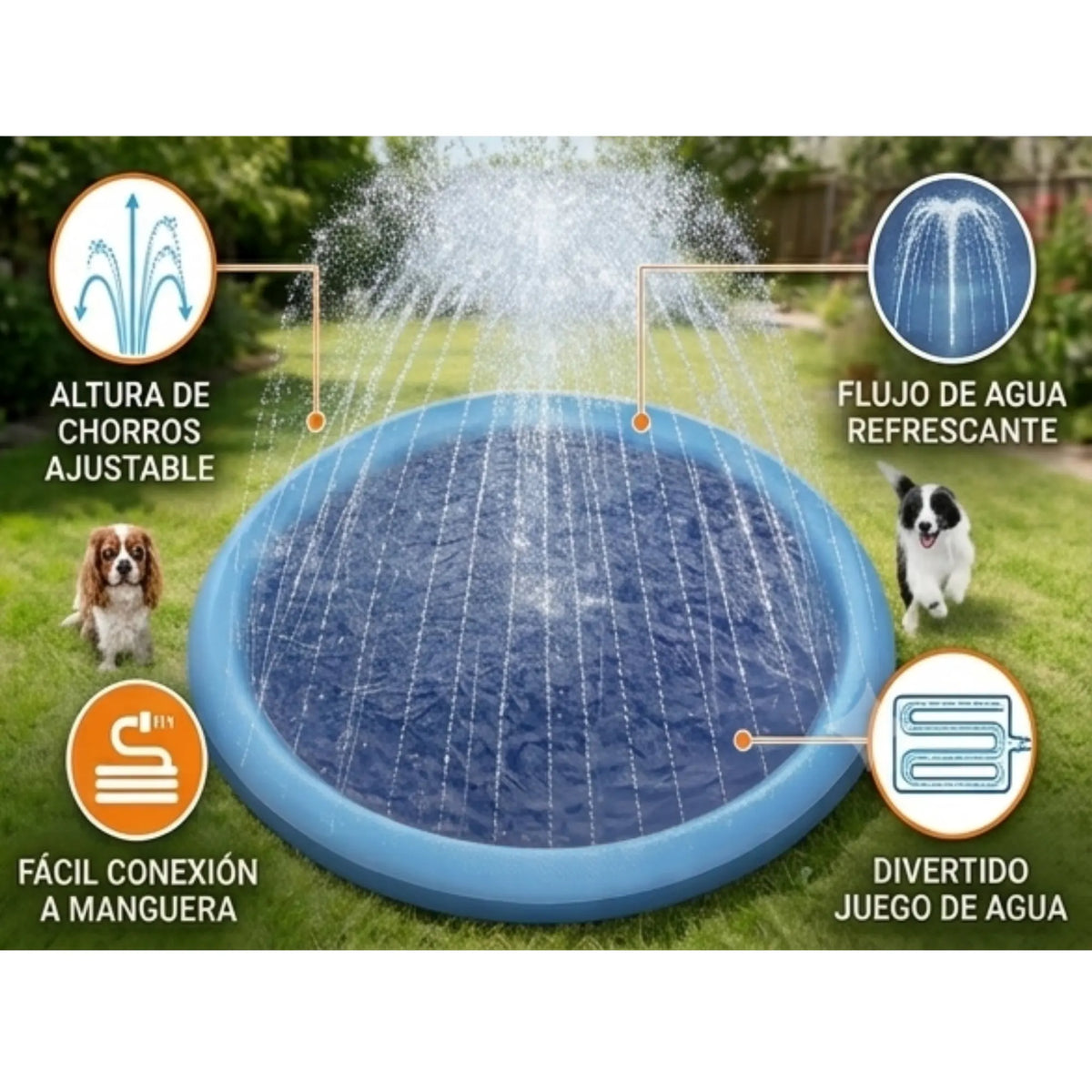 Piscina refrescante con fuente de agua para perros | Diversión y bienestar para el verano - Mas que mascotas