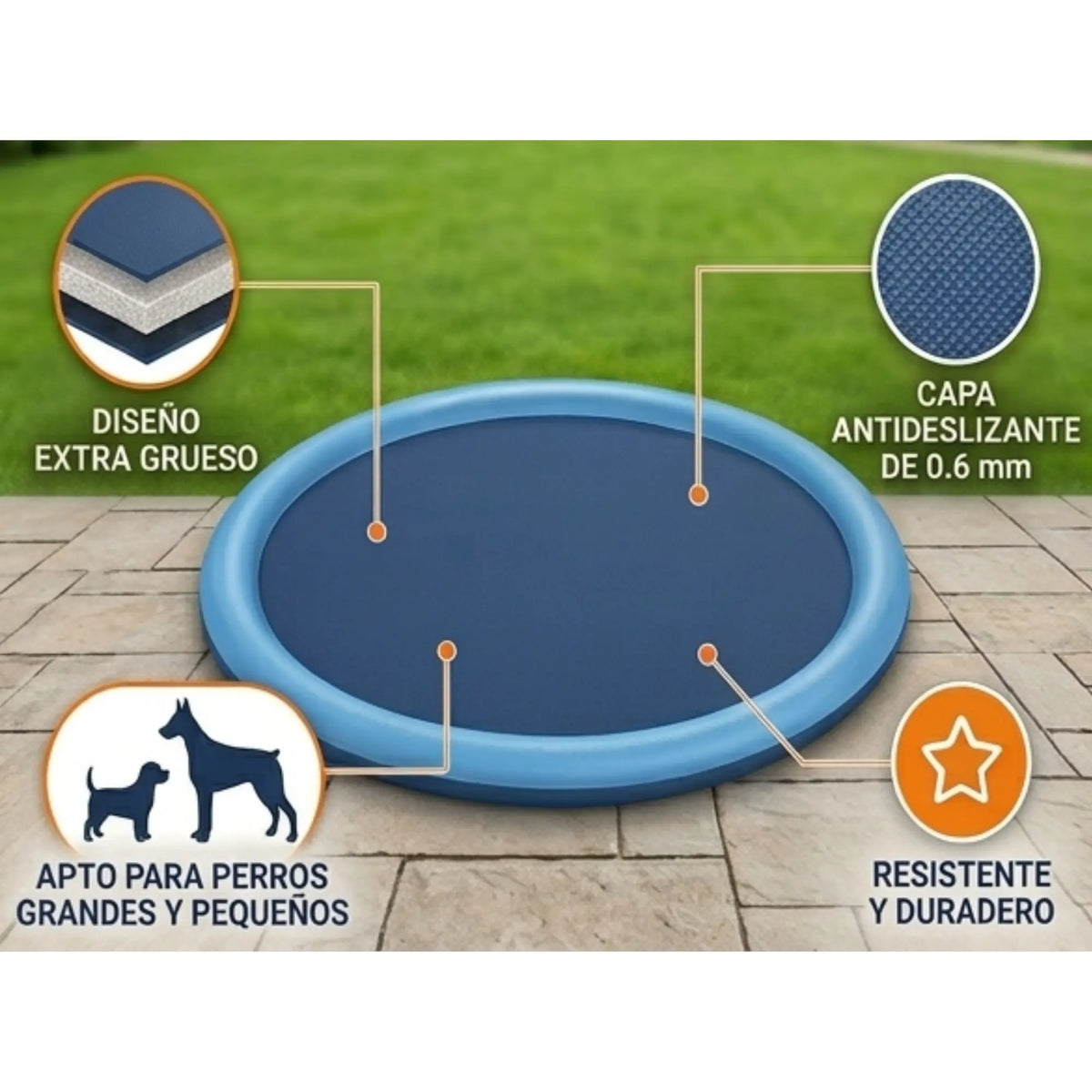 Piscina refrescante con fuente de agua para perros | Diversión y bienestar para el verano - Mas que mascotas